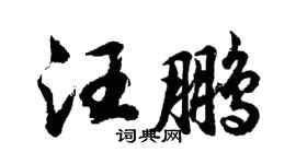 胡问遂汪鹏行书个性签名怎么写