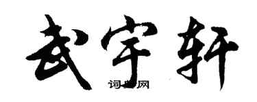 胡问遂武宇轩行书个性签名怎么写