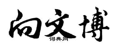 胡问遂向文博行书个性签名怎么写