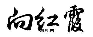 胡问遂向红霞行书个性签名怎么写