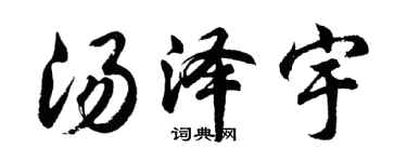 胡问遂汤泽宇行书个性签名怎么写