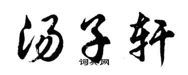 胡问遂汤子轩行书个性签名怎么写