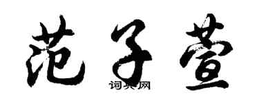 胡问遂范子萱行书个性签名怎么写