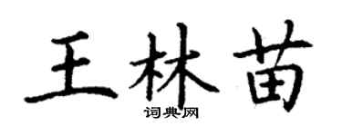 丁谦王林苗楷书个性签名怎么写