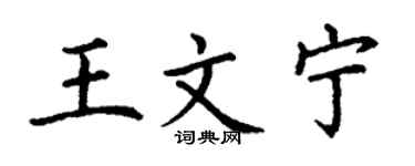 丁谦王文宁楷书个性签名怎么写