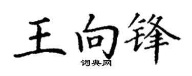 丁谦王向锋楷书个性签名怎么写