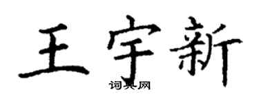 丁谦王宇新楷书个性签名怎么写