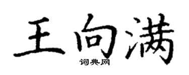 丁谦王向满楷书个性签名怎么写