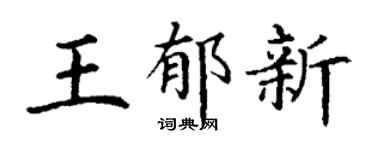 丁谦王郁新楷书个性签名怎么写