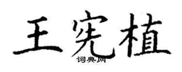 丁谦王宪植楷书个性签名怎么写