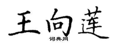 丁谦王向莲楷书个性签名怎么写