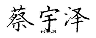 丁谦蔡宇泽楷书个性签名怎么写