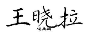 丁谦王晓拉楷书个性签名怎么写