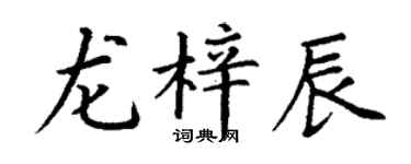 丁谦龙梓辰楷书个性签名怎么写