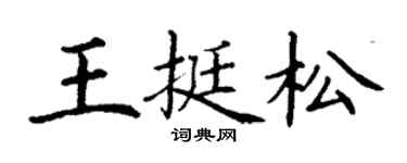 丁谦王挺松楷书个性签名怎么写