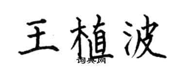 何伯昌王植波楷书个性签名怎么写