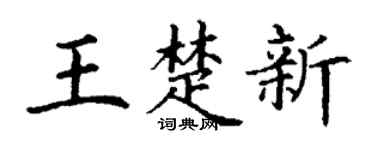 丁谦王楚新楷书个性签名怎么写