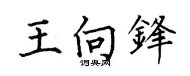 何伯昌王向锋楷书个性签名怎么写