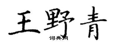 丁谦王野青楷书个性签名怎么写