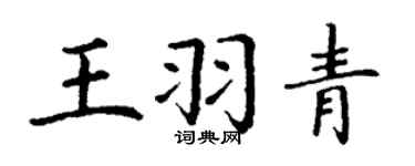 丁谦王羽青楷书个性签名怎么写