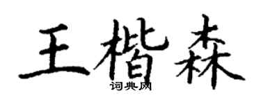 丁谦王楷森楷书个性签名怎么写