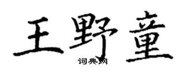 丁谦王野童楷书个性签名怎么写