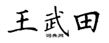 丁谦王武田楷书个性签名怎么写