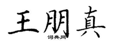 丁谦王朋真楷书个性签名怎么写