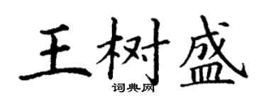 丁谦王树盛楷书个性签名怎么写