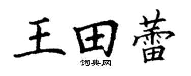 丁谦王田蕾楷书个性签名怎么写