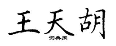 丁谦王天胡楷书个性签名怎么写