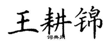 丁谦王耕锦楷书个性签名怎么写