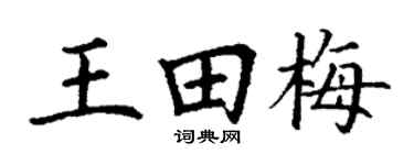 丁谦王田梅楷书个性签名怎么写