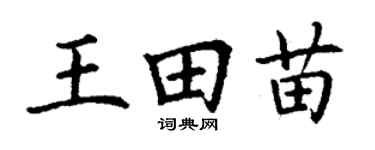 丁谦王田苗楷书个性签名怎么写