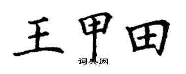 丁谦王甲田楷书个性签名怎么写