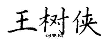 丁谦王树侠楷书个性签名怎么写