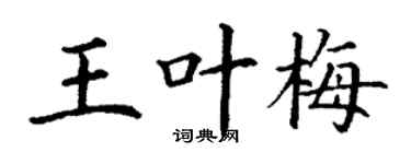 丁谦王叶梅楷书个性签名怎么写