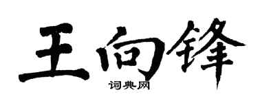 翁闿运王向锋楷书个性签名怎么写