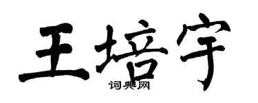 翁闿运王培宇楷书个性签名怎么写