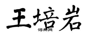 翁闿运王培岩楷书个性签名怎么写