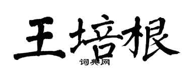 翁闿运王培根楷书个性签名怎么写