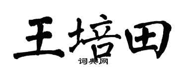 翁闿运王培田楷书个性签名怎么写