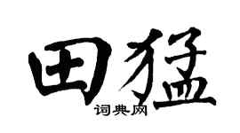 翁闿运田猛楷书个性签名怎么写