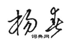 骆恒光杨春草书个性签名怎么写