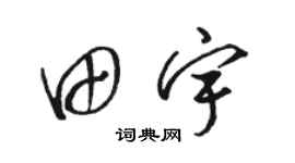 骆恒光田宇草书个性签名怎么写