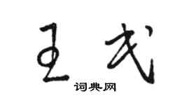 骆恒光王民草书个性签名怎么写