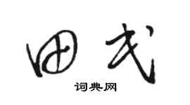 骆恒光田民草书个性签名怎么写