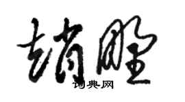 骆恒光赵野草书个性签名怎么写