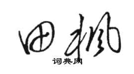 骆恒光田枫草书个性签名怎么写