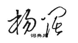 骆恒光杨阔草书个性签名怎么写